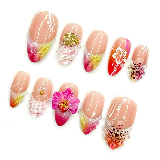 A25 Summer Shell Orchid